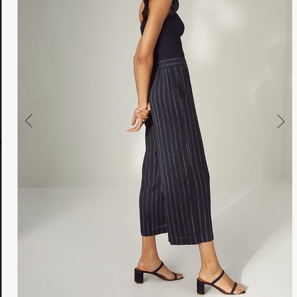 ARITZIA | Wilfred Faun Navy Pinstripe Trousers - Picture 2 of 8